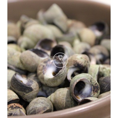 Comprar caracolillos o bígaros online | Pescadería online