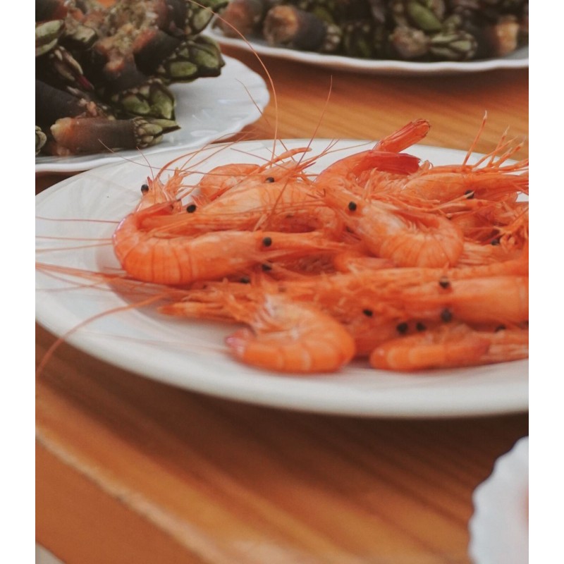 Comprar camarón extra gordo de ría | Mariscos frescos | ¡Compra ahora!