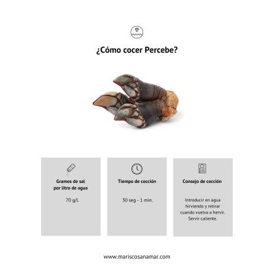¿Cómo cocer percebe? Tiempo de cocción del marisco