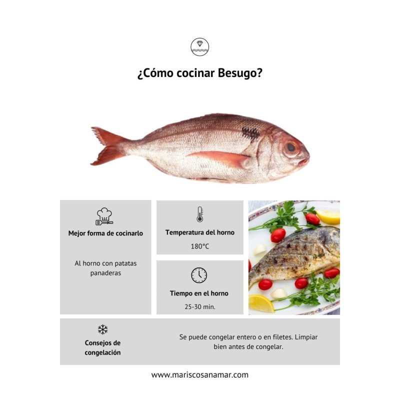 ¿Cómo cocinar besugo? ¿Cómo congelar besugo?