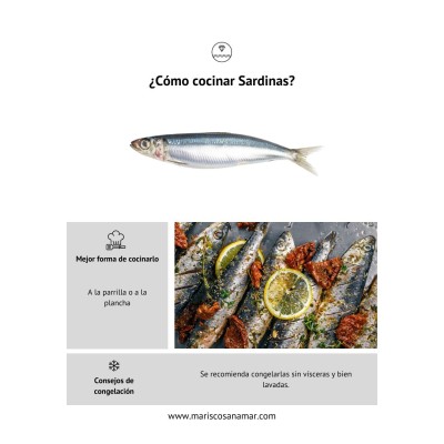 ¿Cómo cocinar sardinas? La mejor forma de cocinar el pescado ¿Cómo congelar sardinas?