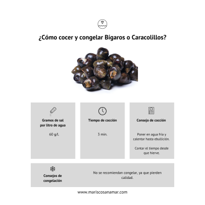 ¿Cómo cocer bígaros? ¿Cómo cocer caracolillos? Tiempos de cocción del marisco ¿Cómo congelar bígaros y caracolillos