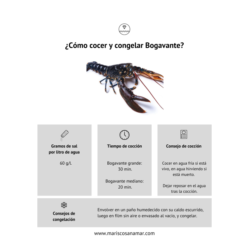 ¿Cómo cocer bogavante? Tiempo de cocción del marisco ¿Cómo congelar bogavante?