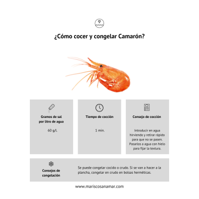 ¿Cómo cocer camarón? Tiempo de cocción del marisco ¿Cómo congelar camarón?