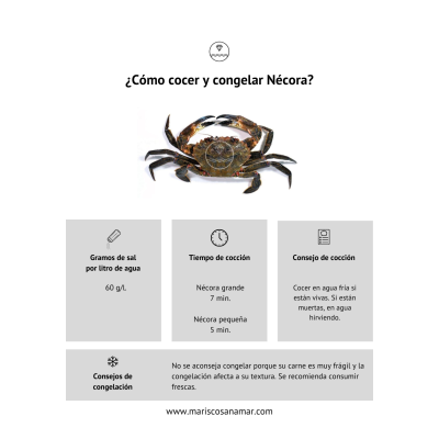 Cómo cocer nécora | Cómo congelar nécoras | Cocer marisco | Congelar marisco