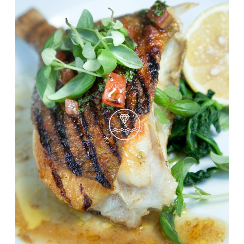 Comprar pescado online Gallo de San Pedro o San Martín