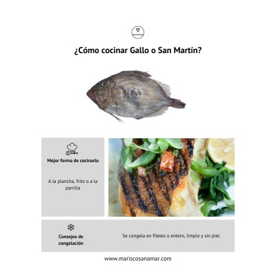 Gallo San Pedro al mejor precio y fresco | Envío en 24 horas