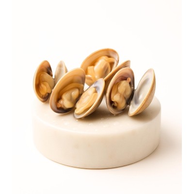 Comprar almeja fina gallega mediana