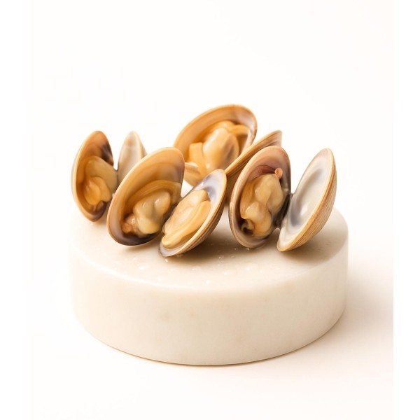 Comprar almeja fina gallega mediana