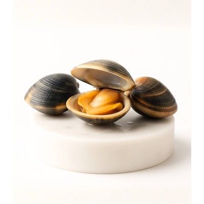 Comprar almeja fina gallega pequeña