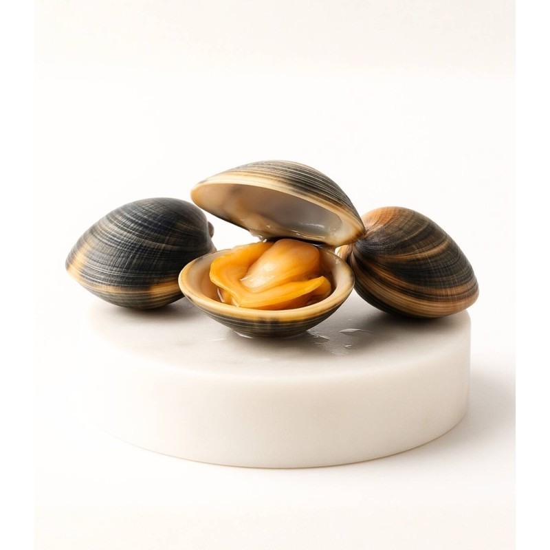 Comprar almeja fina gallega pequeña