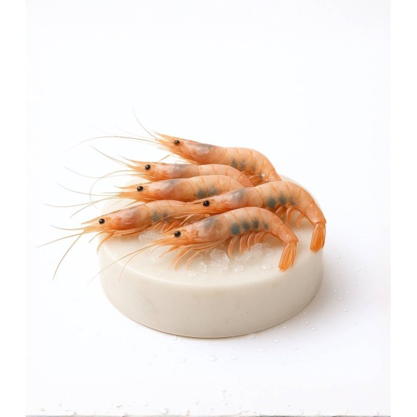 Quisquilla del Cantábrico comprar