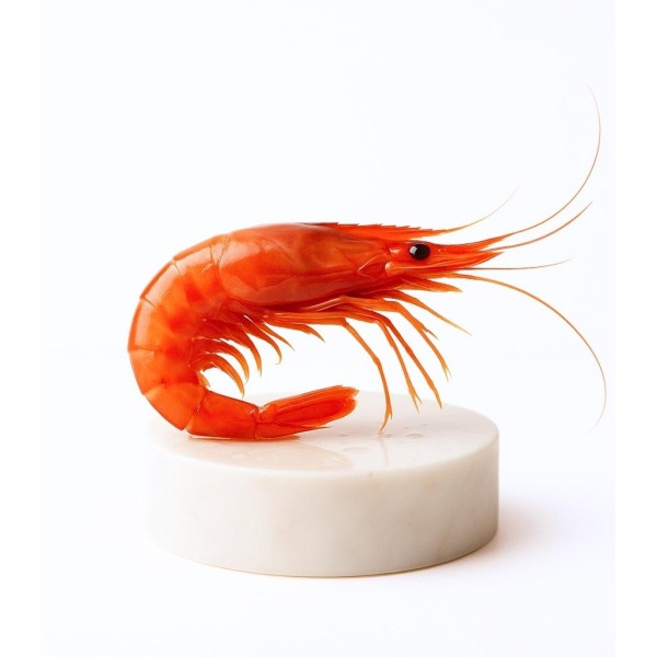 Comprar gamba roja de Palamós especial | Comprar marisco fresco online | ¡Comprar ahora!