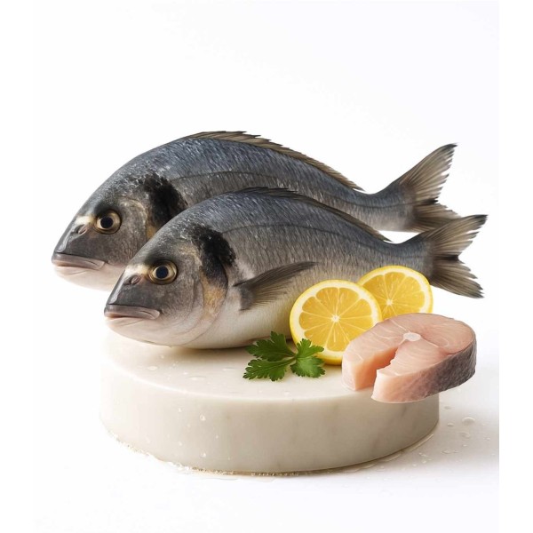 Comprar dorada del Cantábrico | Pescaderia online | ¡Pescados a domicilio!