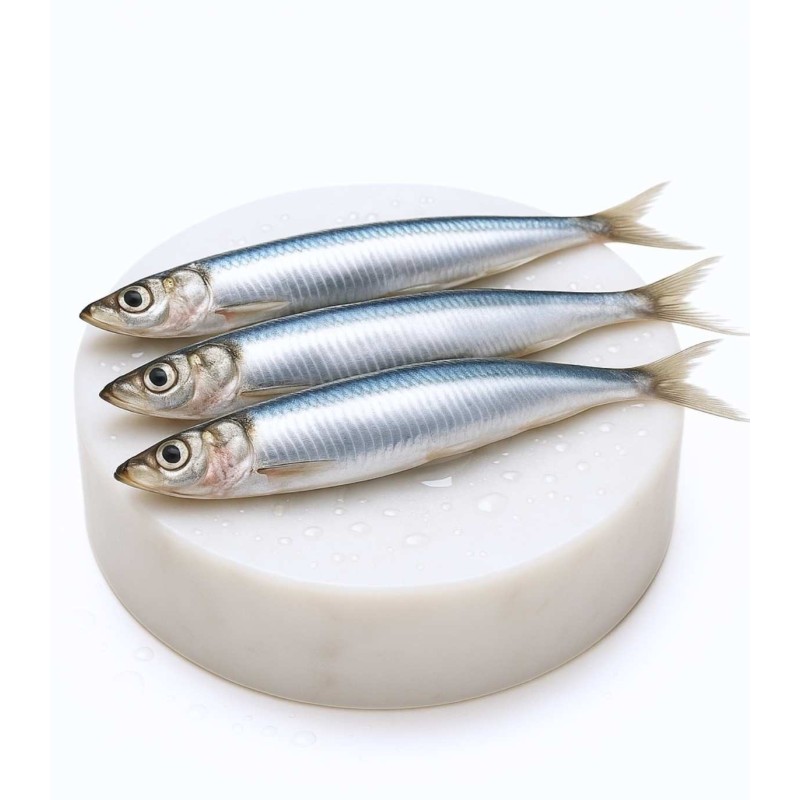 Comprar bocarte online