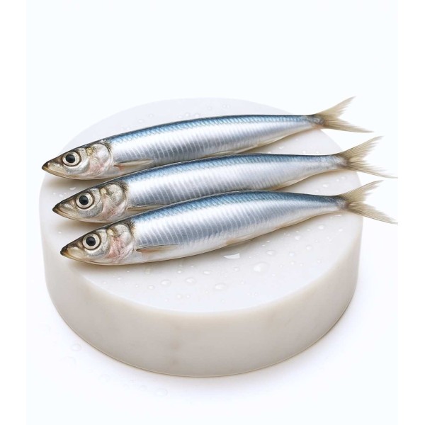 Comprar bocarte online