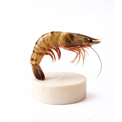 Langostino tigre de Huelva mediano