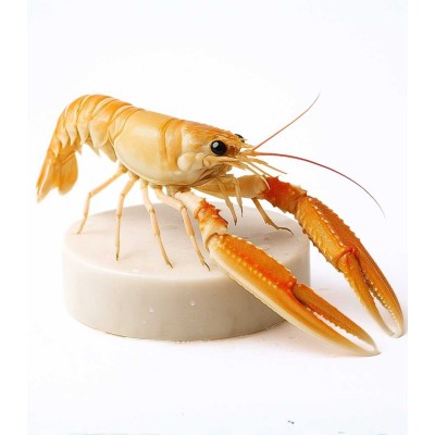 Cigala del Cantábrico especial