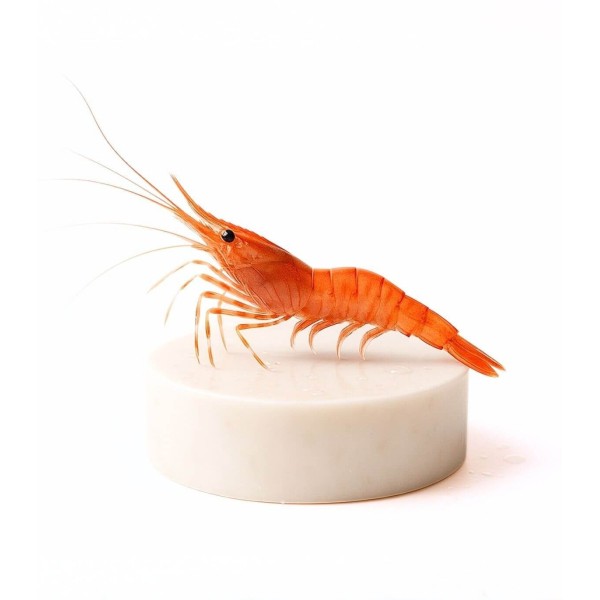 comprar camarón extra de la ría | compara camarón online