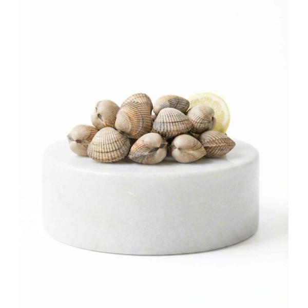 berberecho gordo gallego