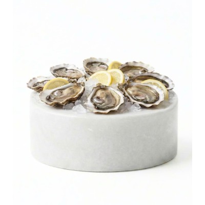 Comprar ostras de Arcade extra