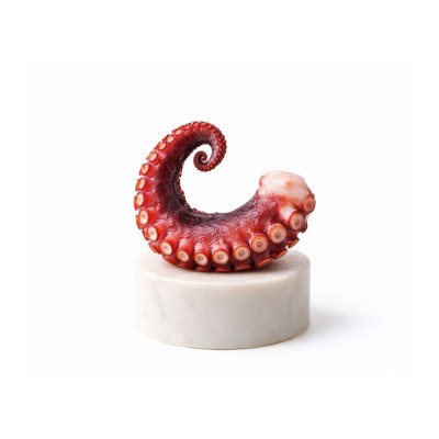 comprar Pata de pulpo gallego cocido