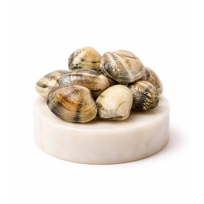 Comprar la mejor Almeja de carril semicultivo