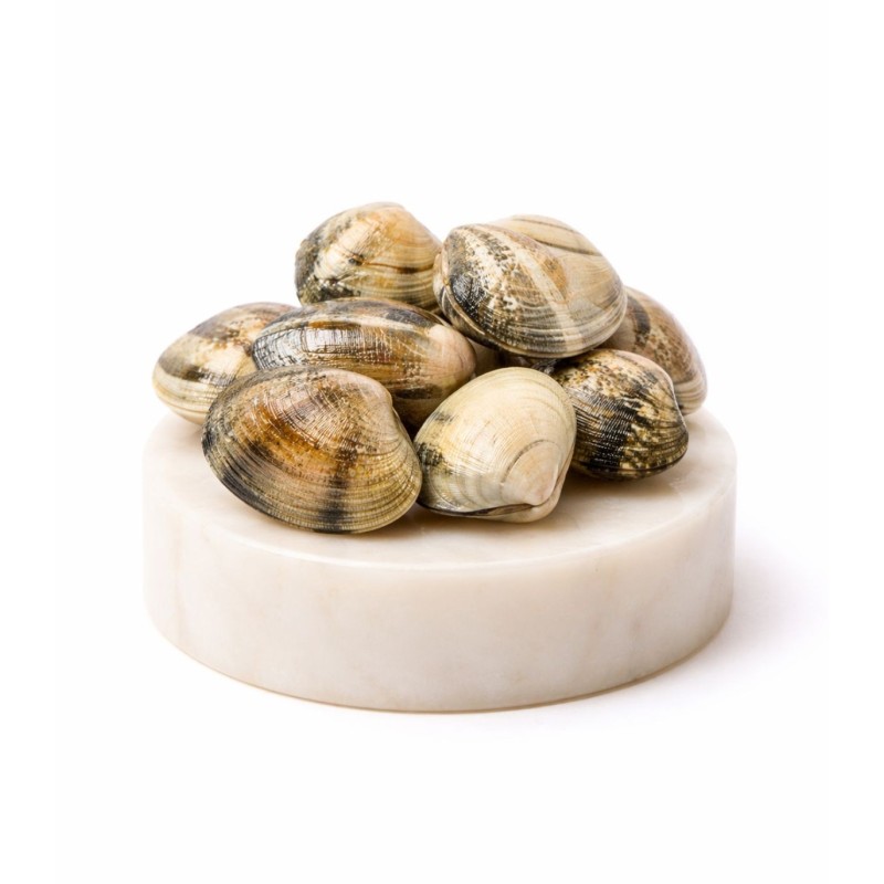 Comprar la mejor Almeja de carril semicultivo