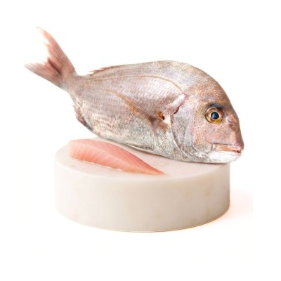 Comprar machote o pargo online