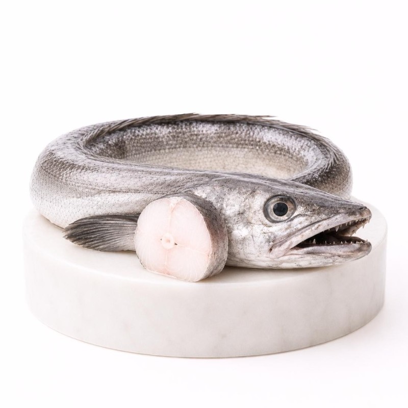 Comprar merluza | Mariscos Anamar | Envío en 24 horas