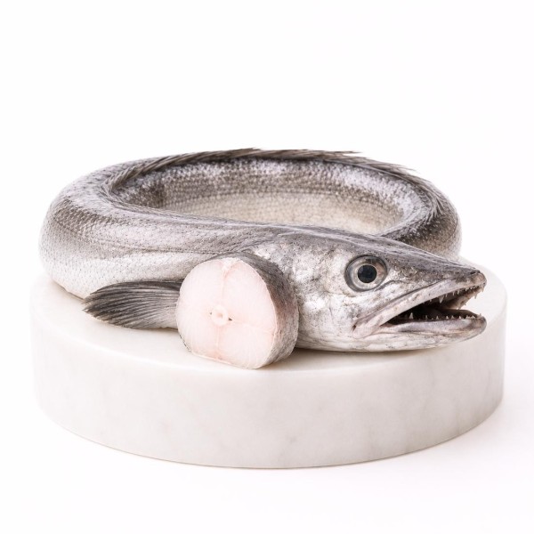 Comprar merluza | Mariscos Anamar | Envío en 24 horas