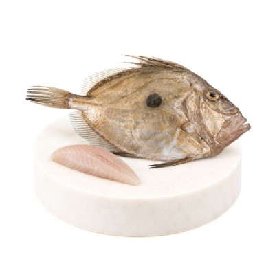 Comprar pescado online Gallo de San Pedro o San Martín