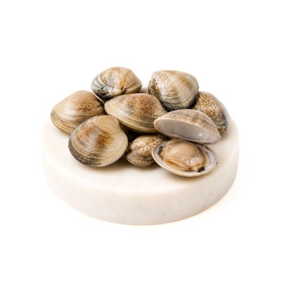 Comprar almeja fina gallega mediana