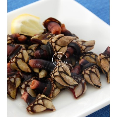 Mariscada Sabor Marítimo
