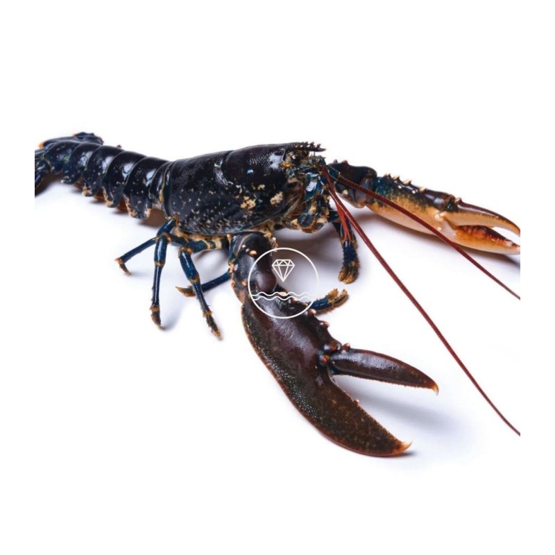 Mariscada Brisa del Mar