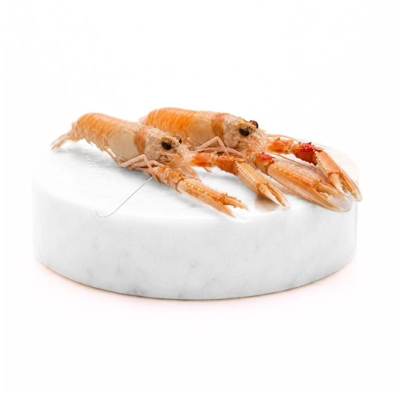 Cigalitas del mar a tu mesa | Comprar cigalitas | Comprar cigalas pequeñas