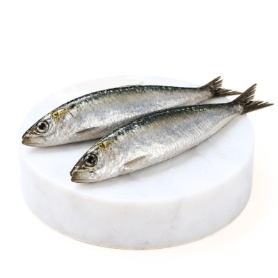 Comprar sardinas online | Mariscos Anamar