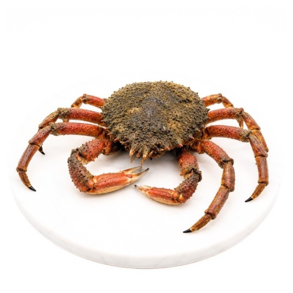 comprar marisco online | Comprar centolla gallega