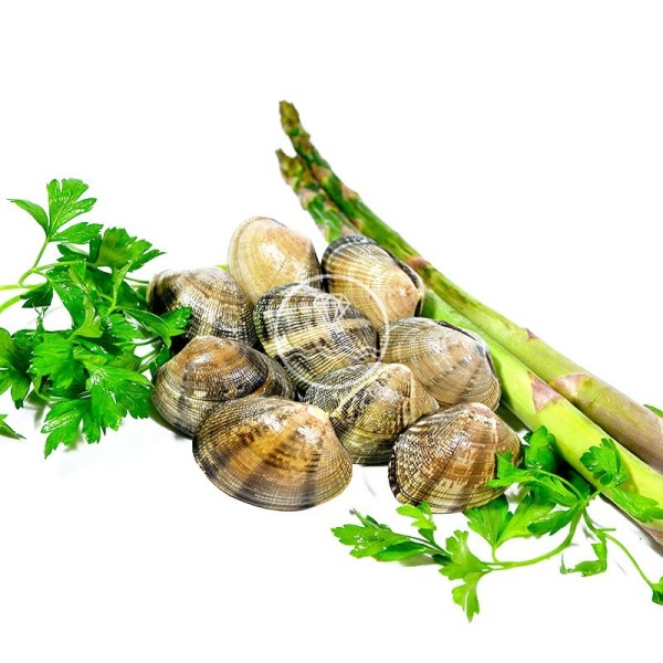 Almeja de carril semicultivo, mariscos a domicilio