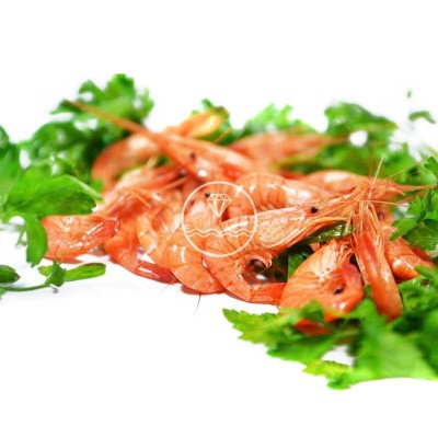 comprar camarón extra gordo de la ría