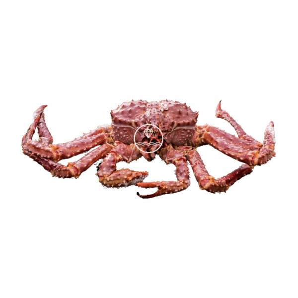 Comprar cangrejo real | Comprar marisco online