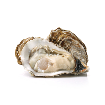 Comprar ostras de Arcade extra