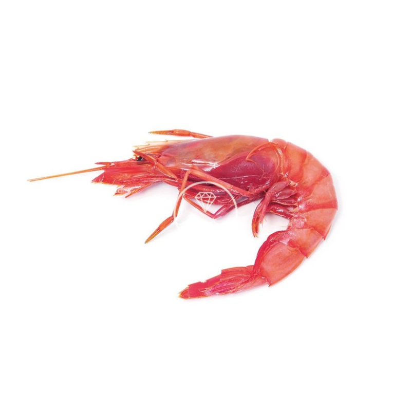 Gamba roja de Palamós especial