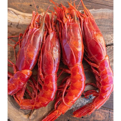 Carabinero al Mejor Precio | Fresco o Cocido | Envío 24 Horas