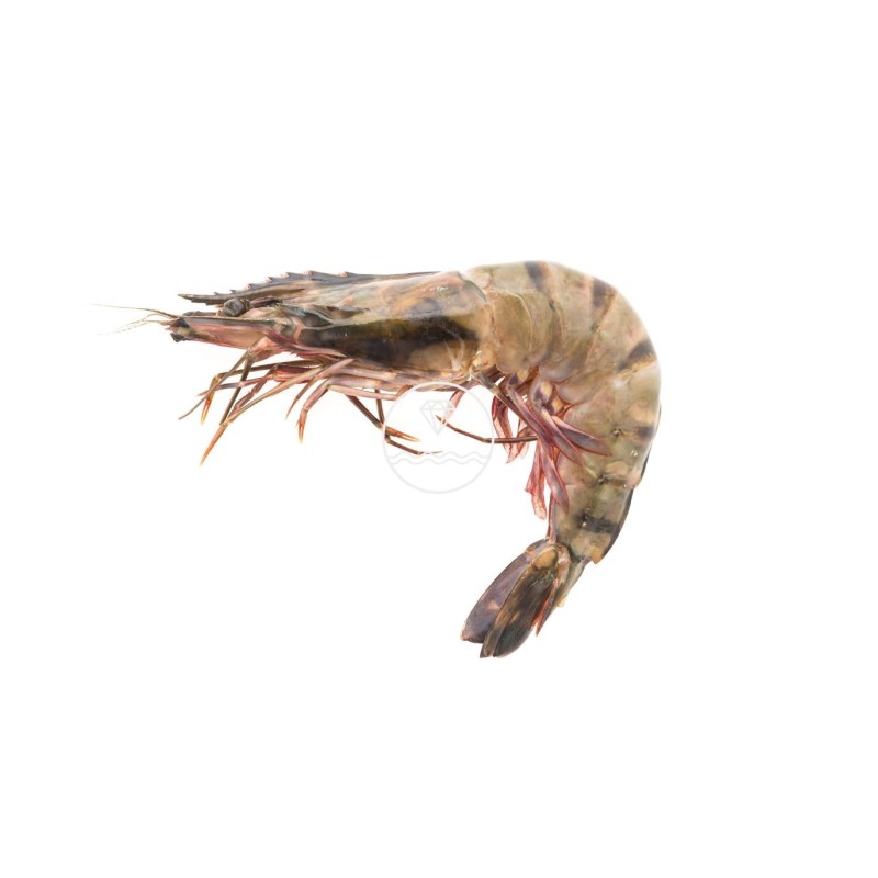 comprar Langostino online