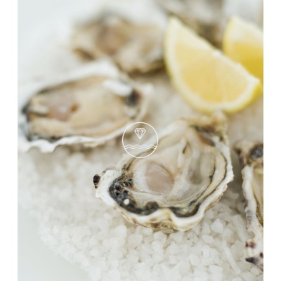 Comprar ostras de Arcade extra