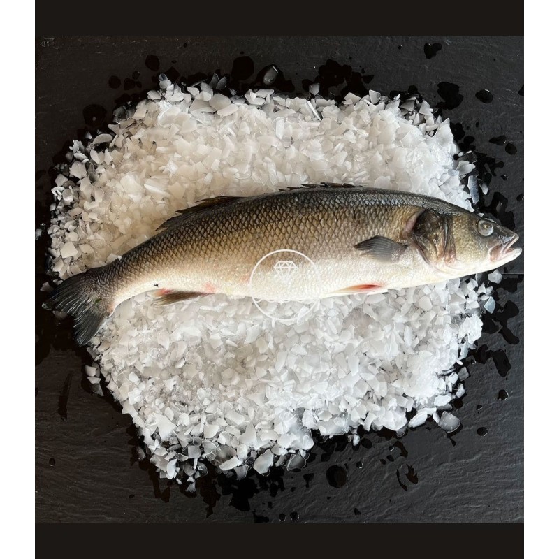 Comprar lubina online