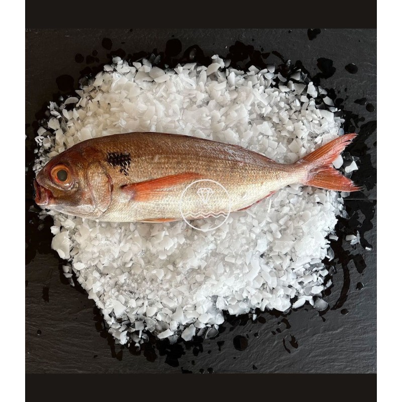 Comprar besugo online