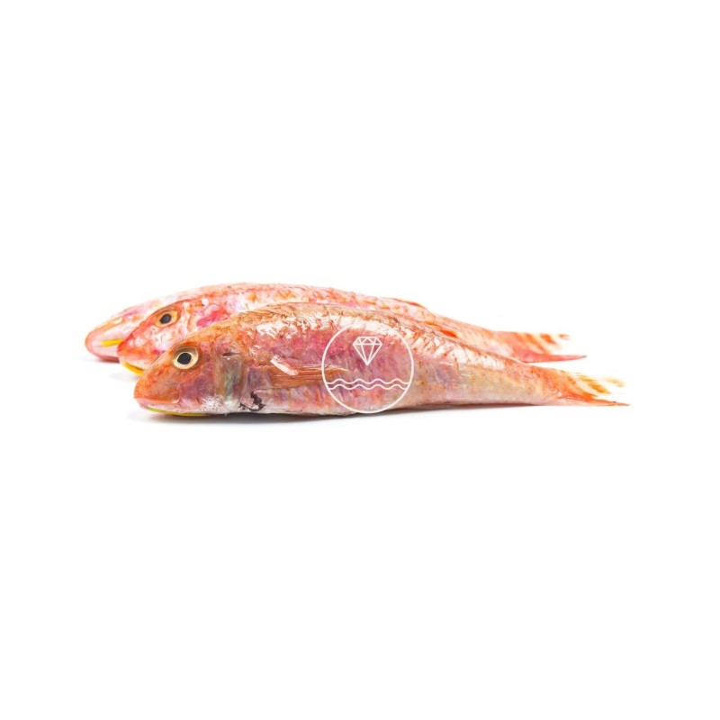 Comprar salmonete del Cantábrico online