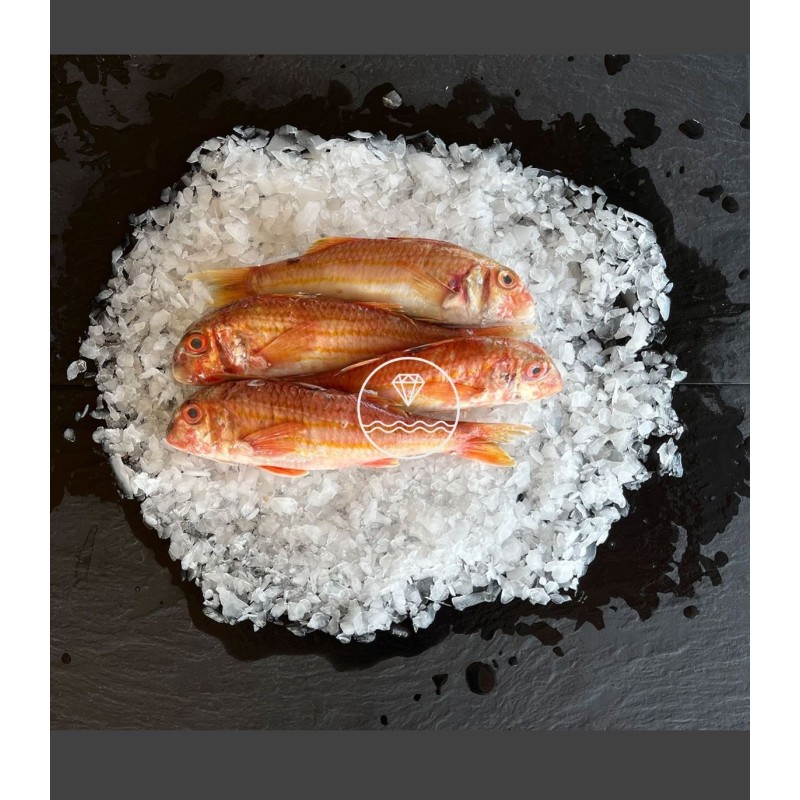 Comprar salmonete del Cantábrico online